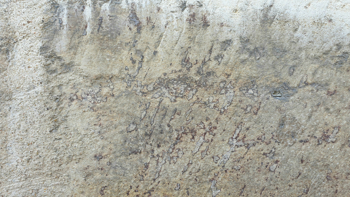 best floor scrubber for concrete