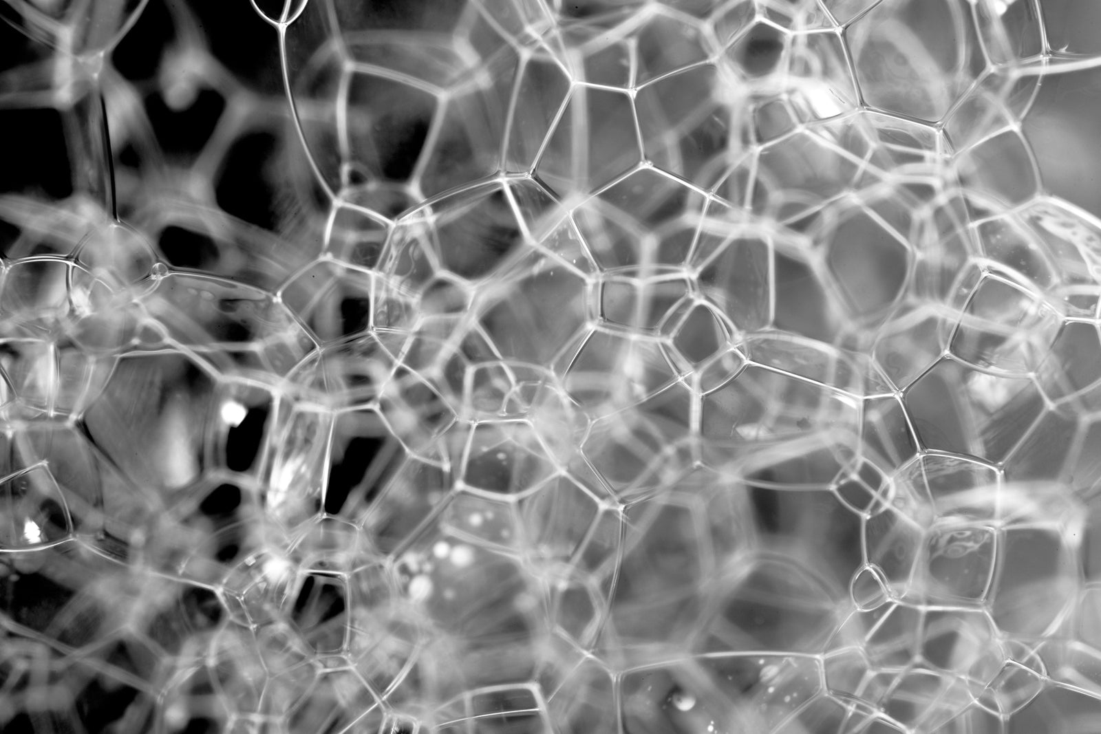 Best Commercial Carpet Cleaning Chemicals