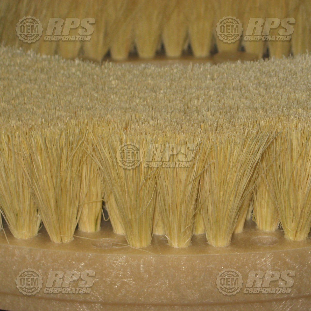 FactoryCat/Tomcat 14-421T, Brush,Tampico,14"