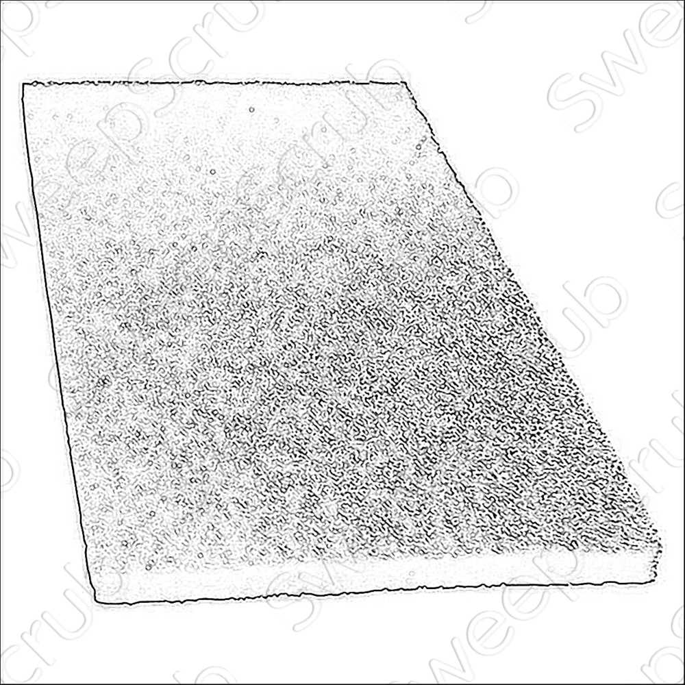 Nilfisk Advance 56105747 Pad