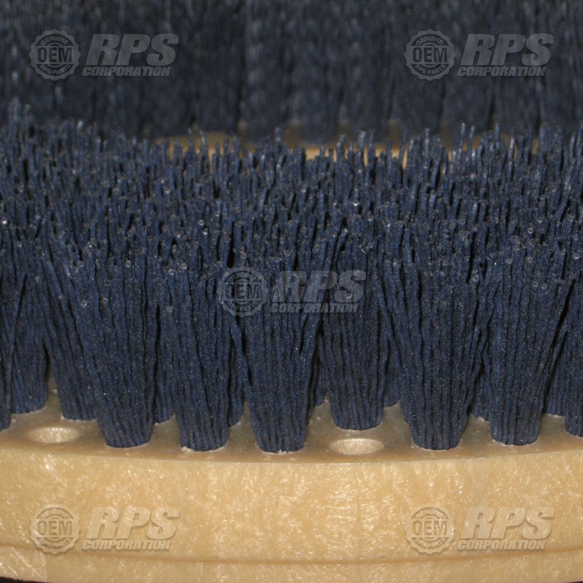 FactoryCat/Tomcat 19-421C, Brush,Midi-Grit,19"