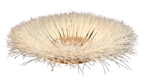 14" Side Broom. Nylon. FIts Powerboss 5550,9090, Armadillo SW/8X, SW/9X,Badger SW/75II, Commander 80, 82, 88, 90,bCore 50, LitterBoss, Monitor 80, 82,Monitor 88,  Double Scrub 90, TSS/90.  Fits Aftermarket PowerBoss 3300309