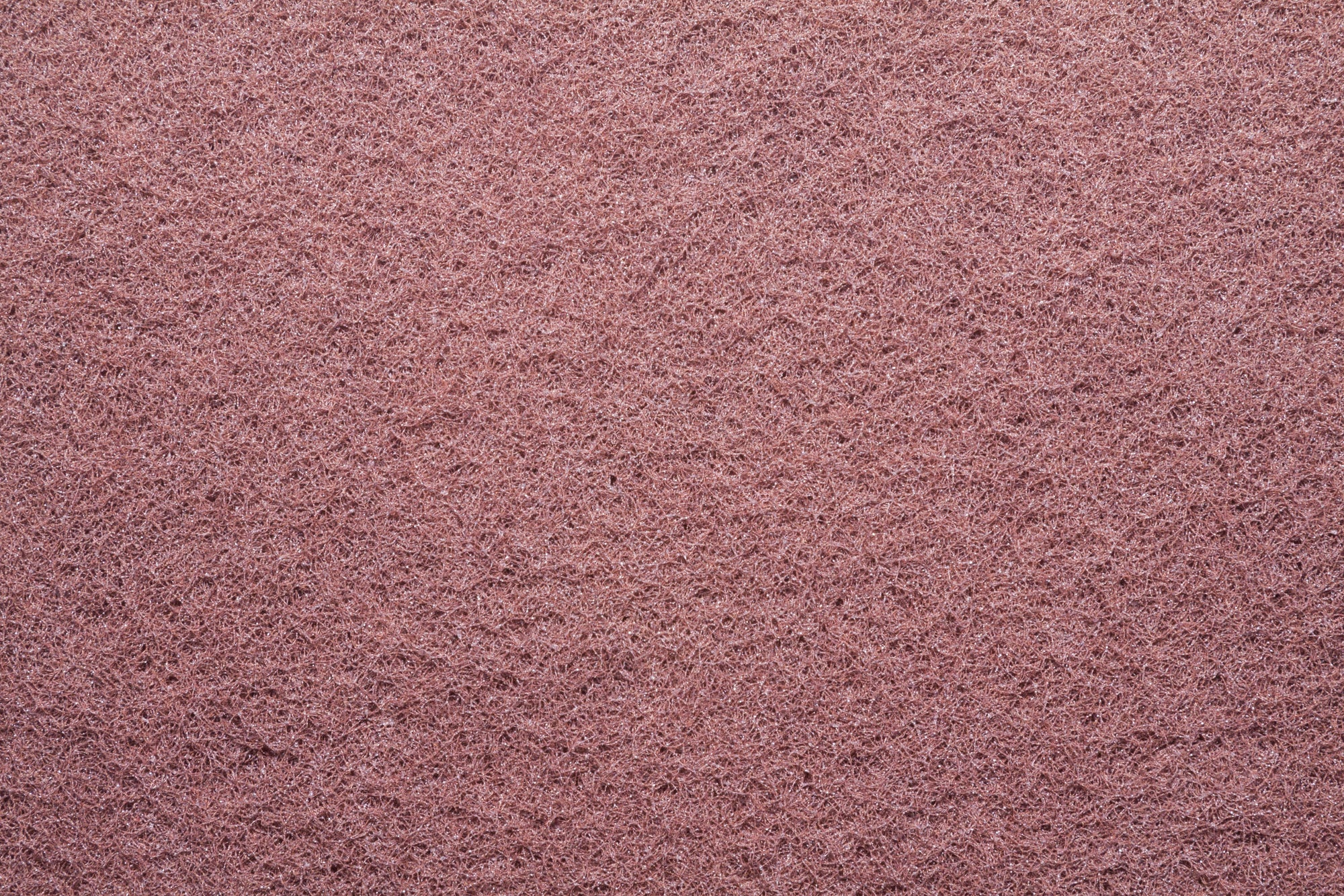 20" SQP Pad - 10/Case - Square Scrub SS P1420SQP