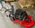 Refurbished Propane Floor Burnisher | Betco Optima XR | 27" | 603CC Engine | Emissions Package