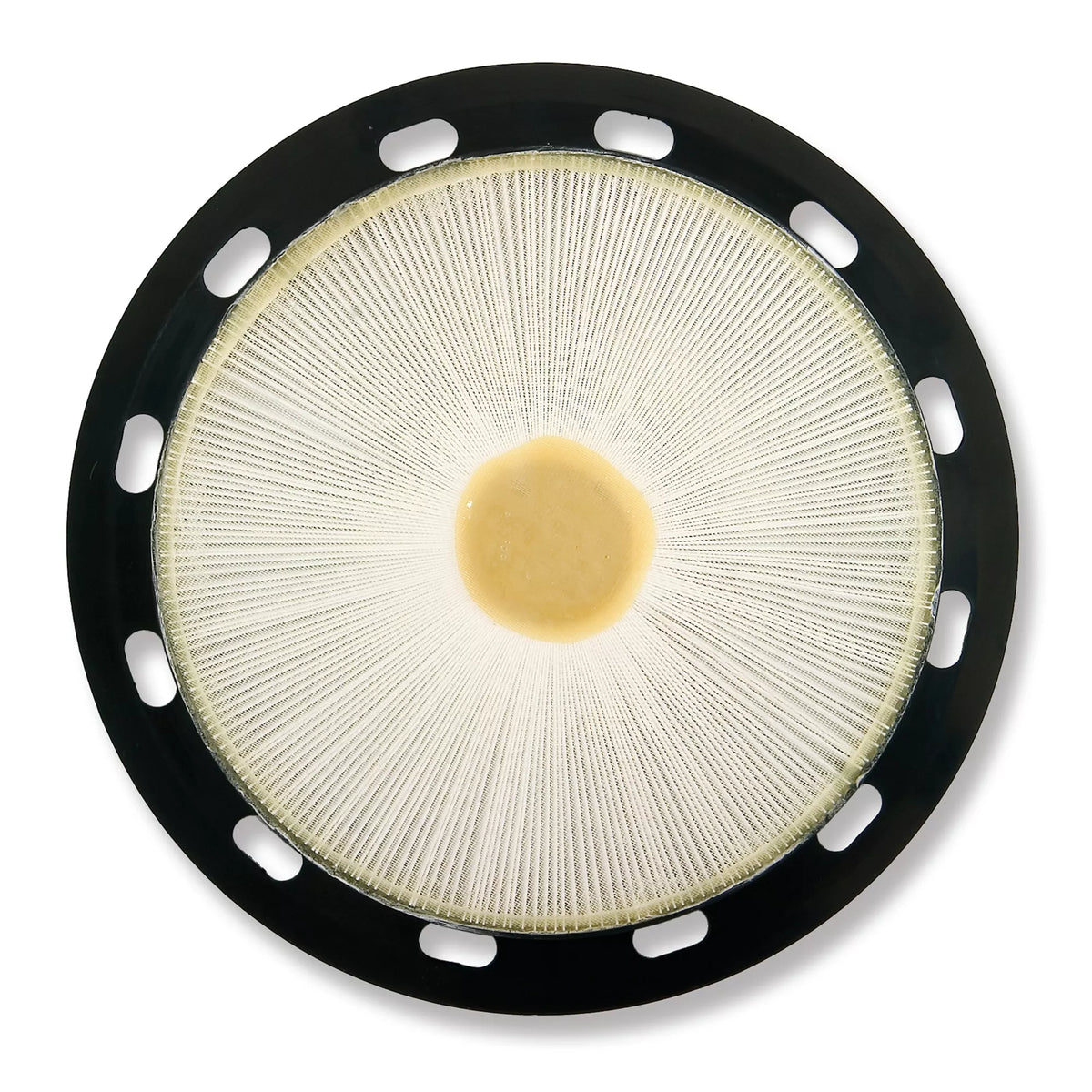 Advance Euroclean GD930, Canister Vacuum, 3 Gallon, Electric, With Tools, HEPA, 2 year Warranty, 9055314010