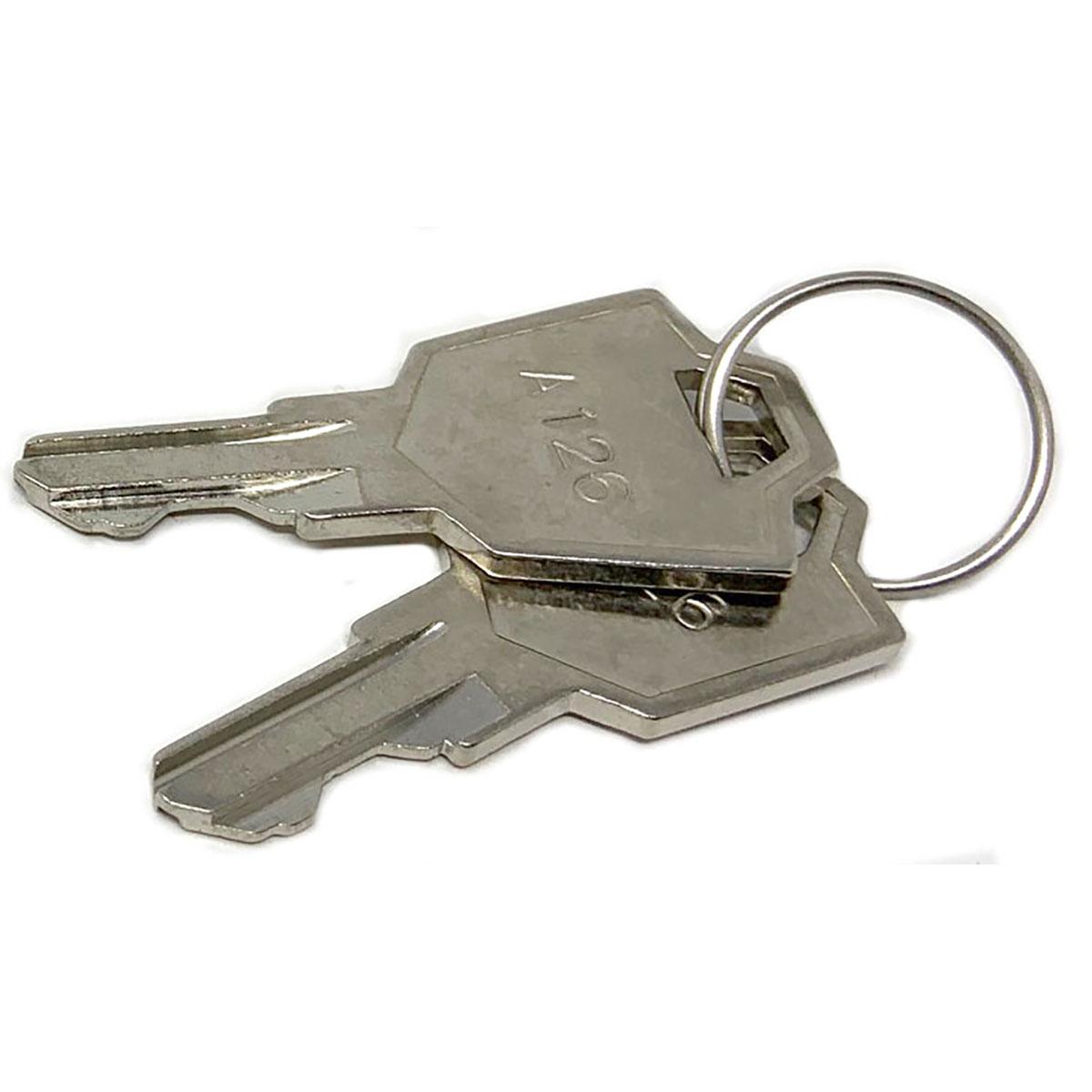 Keys Replacement (Set Of 2), Fits Ice 8310706A