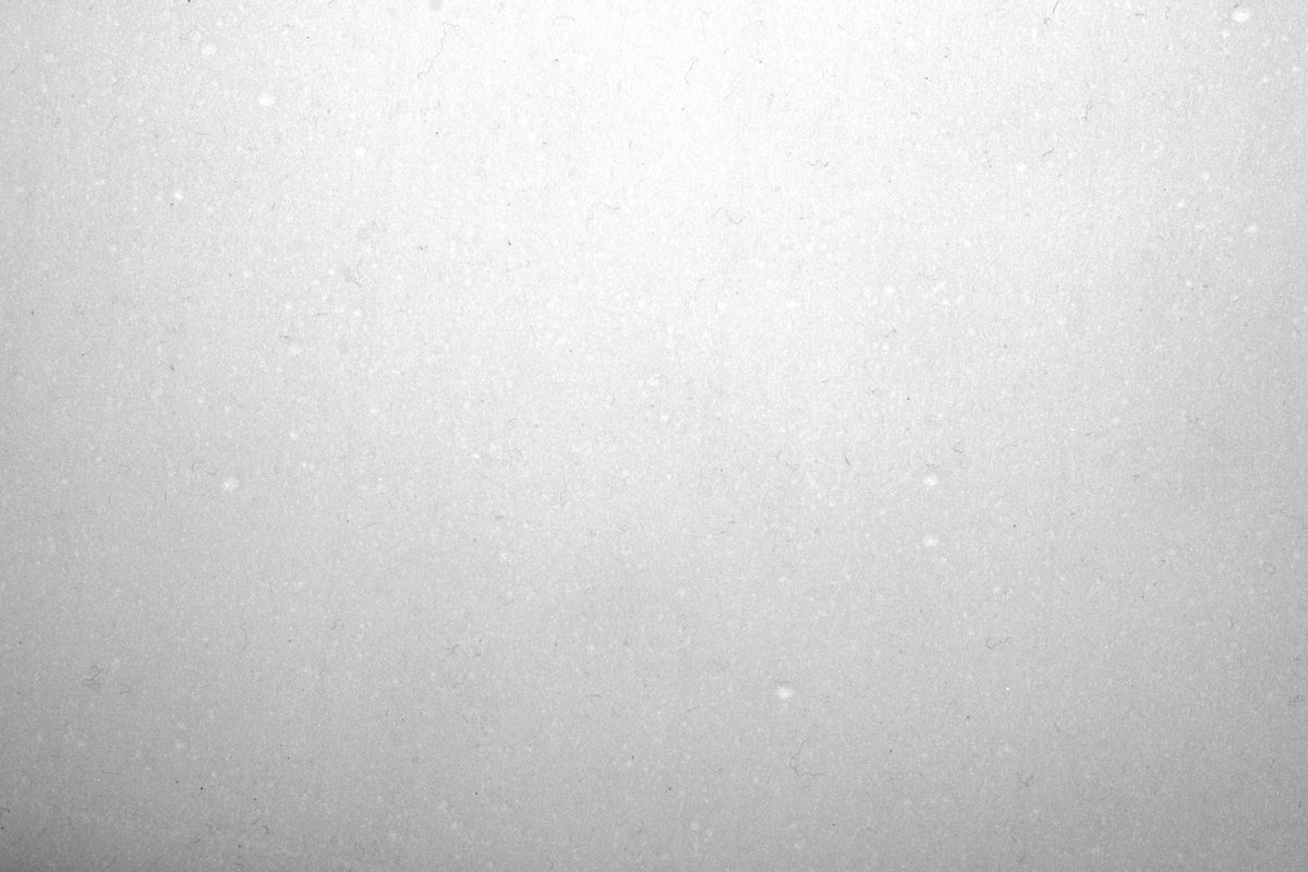 28" Xtreme Sponge - 5/Case - Square Scrub SS P1428XTR