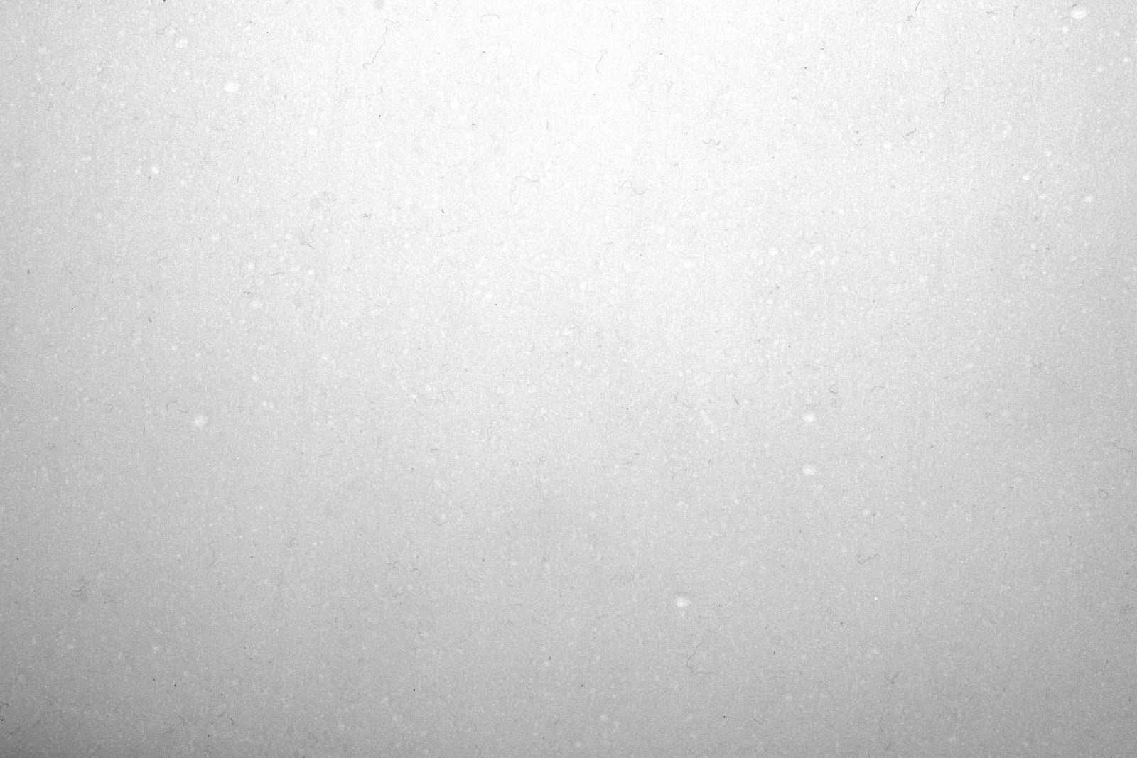 28" Xtreme Sponge - 5/Case - Square Scrub SS P1428XTR