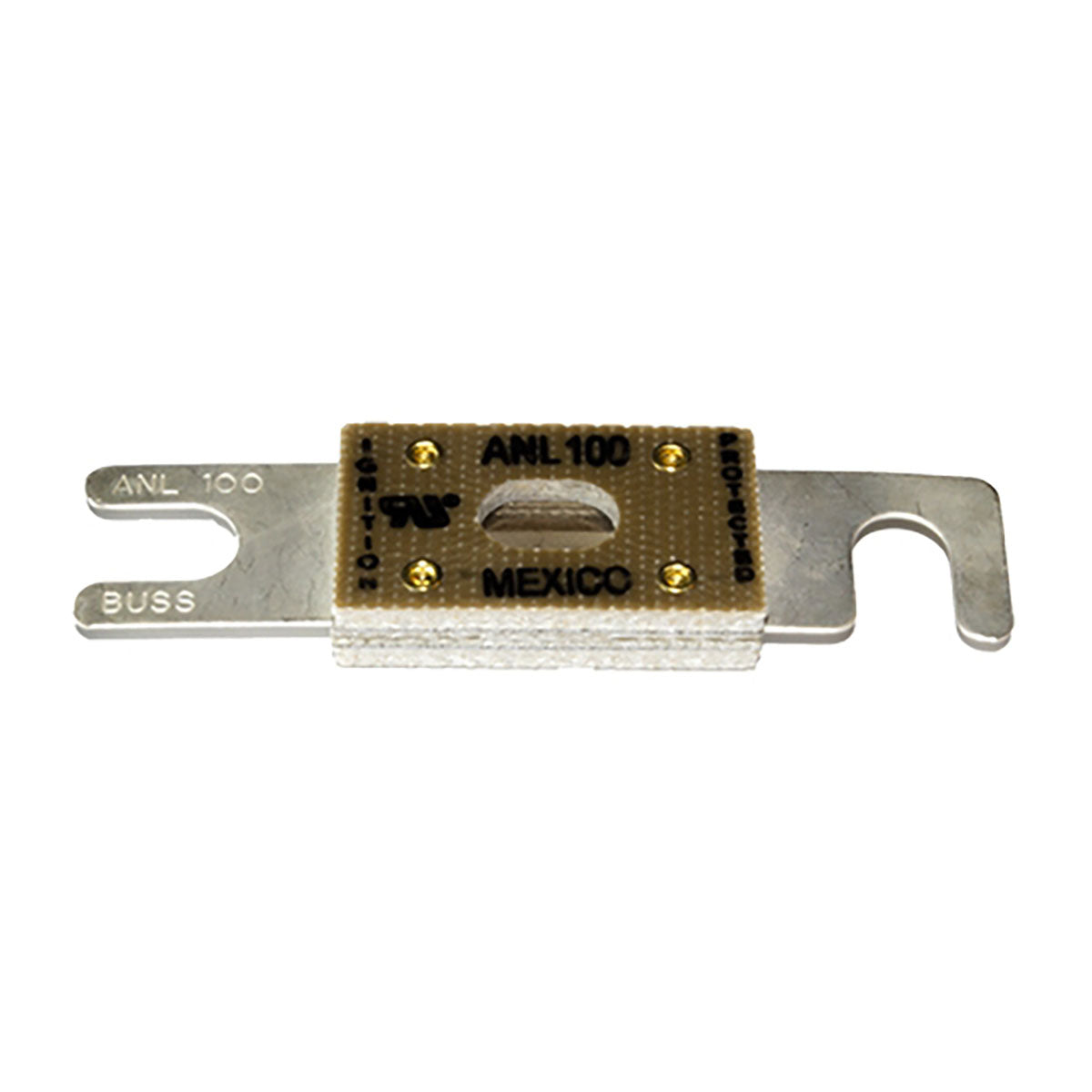 Fuse 100 Amp